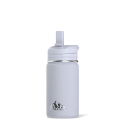Mini 14oz Stainless Steel Kids Water Bottle With Straw Lid- Ice