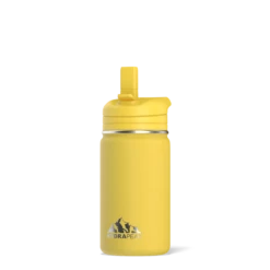 Mini 14oz Stainless Steel Kids Water Bottle With Straw Lid- Lemon