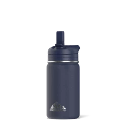 Mini 14oz Stainless Steel Kids Water Bottle With Straw Lid- Navy