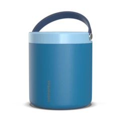 25oz Stainless Steel Vacuum Insulated Thermos Food Jar- Sky