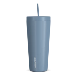 Traveler 25oz Insulated Tumbler With Lid And Straw - Storm