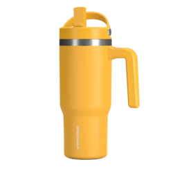 Voyager Kid's 18 Oz Tumbler With Handle And Straw Lid - Mango