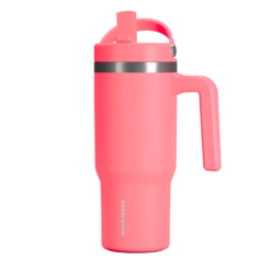 Voyager Kid's 18 Oz Tumbler With Handle And Straw Lid - Neon Crush