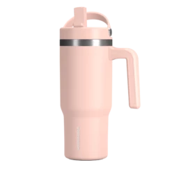 Voyager Kid's 18 Oz Tumbler With Handle And Straw Lid - Peony