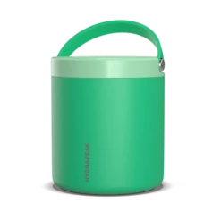 25oz Stainless Steel Vacuum Insulated Thermos Food Jar - Jade