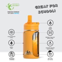 Mini 14oz Stainless Steel Kids Water Bottle With Straw Lid- Mango -HYDRAPEAK Sales infographMINIMangowtext