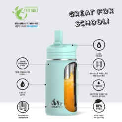 Mini 14oz Stainless Steel Kids Water Bottle With Straw Lid - Aqua -HYDRAPEAK Sales infographMINIaquawtext